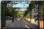 Paris058.jpg