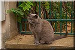 Paris093.jpg